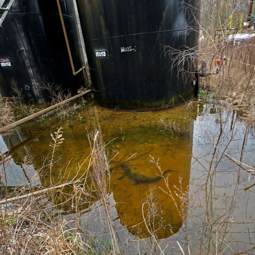 Abandoned oil and gas wells pose threat to carbon storage projects ...