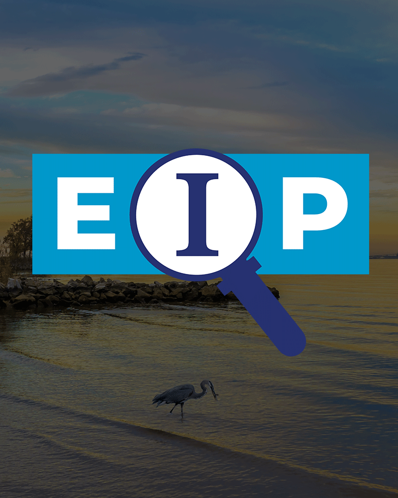 EIP logo on background